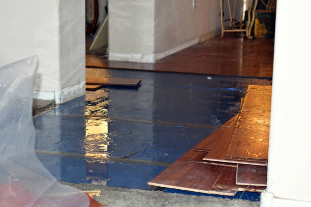 Professional Basement Flood Cleanup technician working in Montague, NJ